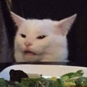 Meet your Posher, Delanie